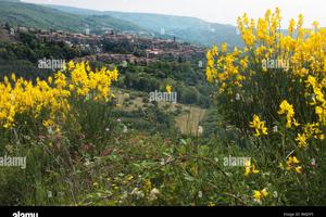 Terreno soleggiato in posizione dominante
