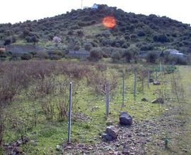 Sarroch (Cagliari) terreno edificabile zona C1