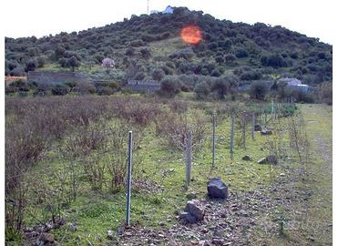 Sarroch (Cagliari) terreno edificabile zona C1