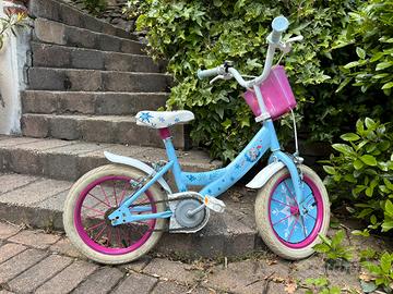 Bici frozen