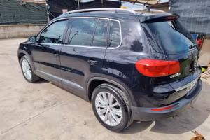 Tiguan  2013