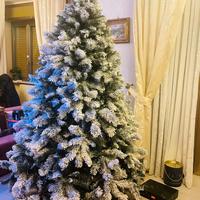 XONE Alberto Milton Innevato