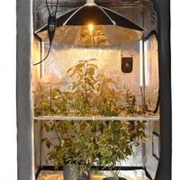 GROW BOX COMPLETA 100×100×200