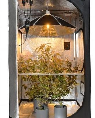 GROW BOX COMPLETA 100×100×200