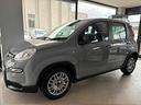fiat-panda-1-0-firefly-s-s-hybrid-city-life