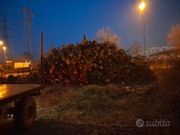 Legna in stanga o spaccata