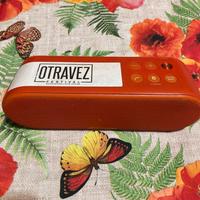 Cassa portatile wireless Sony