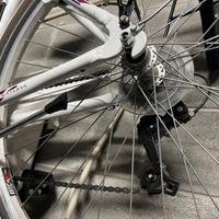 bottecchia verde natura donna