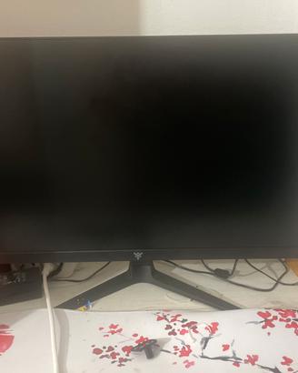Monitor 288hz