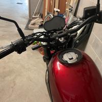 Benelli Leoncino 500