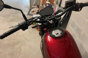 Benelli Leoncino 500