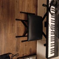 pianoforte alesis (vedere descrizione)