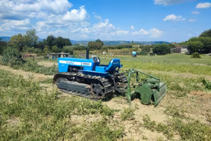 LANDINI 6500 C