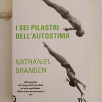 libro motivazonale i sei pilastri dell autostima