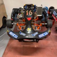 KART INTREPID 100CC