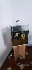 acquario AMTRA NANOTANK 60 litri