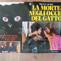 La morte negli occhi del gatto