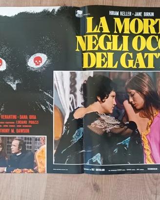 La morte negli occhi del gatto