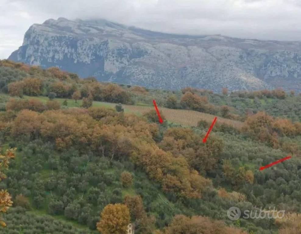 Immobile in asta di 6433 m² a Castelcivita - Vista 2