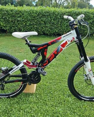 Specialized Downhill 