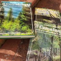 Libri funghi