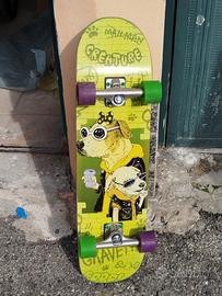 skateboard  cruiser 