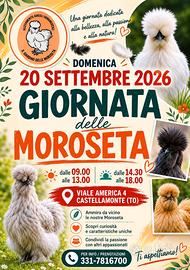 Moroseta
