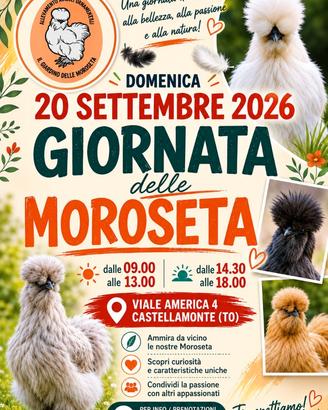 Moroseta