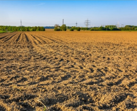 Investi sul tuo terreno agricolo da 3 ettari in su