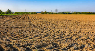 Investi sul tuo terreno agricolo da 3 ettari in su