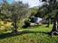 Immagine 26
