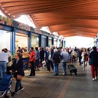 Frutteria avviata Bari