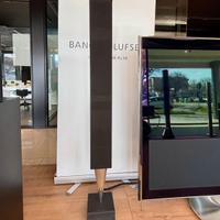 BANG & OLUFSEN altoparlanti BeoLab 8000