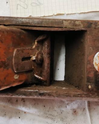 Pialla legno    -F-