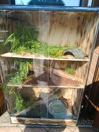 Terrario per rettili