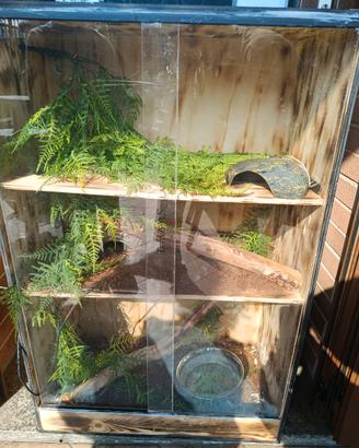 Terrario per rettili