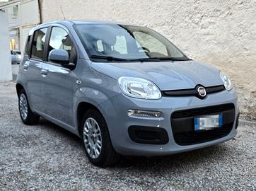 Fiat Panda 1.0 70 CV S&S Hybrid