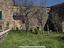 Immagine 6