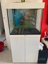 Acquario 120 Litri