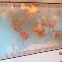 Cartina geografica planisfero steccata Michelin