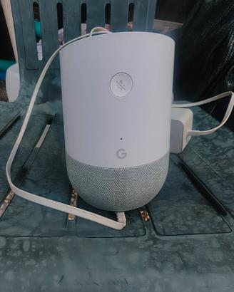Google home e Chromecast
