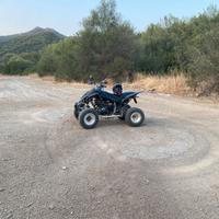 Yamaha Raptor 350cc