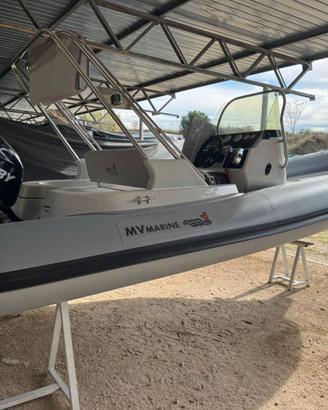 Motonautica Vesuviana 650 - Mercury  150 cv Verado