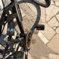 Mountain bike record usata
