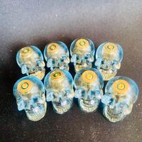 mini teschi/skull