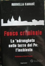 Fuoco criminale di Rossella Canadè