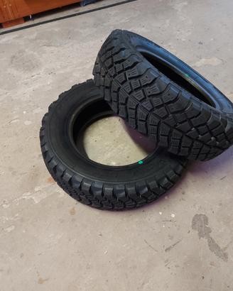 gomme nuove panda 4x4 
