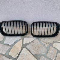 Griglie rene anteriori BMW serie 1 F20