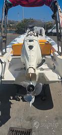 motore fuoribordo evinrude  e150dpx 150cv