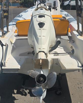 motore fuoribordo evinrude  e150dpx 150cv